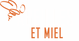 Logo Abeilles et Miel, apiculteurs récoltants à Lagny-sur-Marne